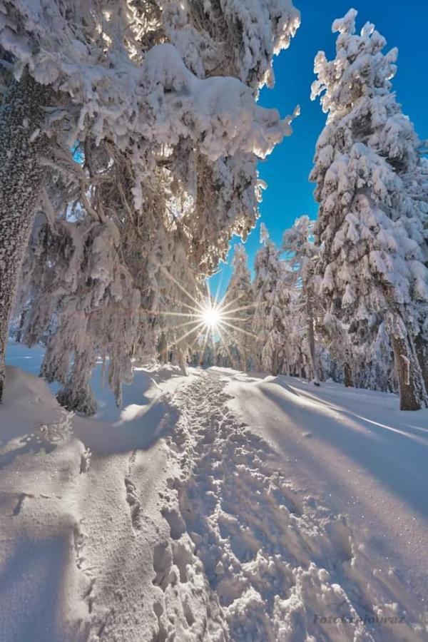 Gorski Raj ชเวียราโดว์-สโดรยจ์ ภายนอก รูปภาพ