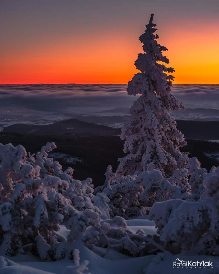 Gorski Raj ชเวียราโดว์-สโดรยจ์ ภายนอก รูปภาพ